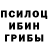 Галлюциногенные грибы Psilocybe Kxjd Nfnfn