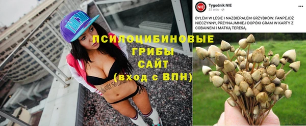 мескалин Алексеевка