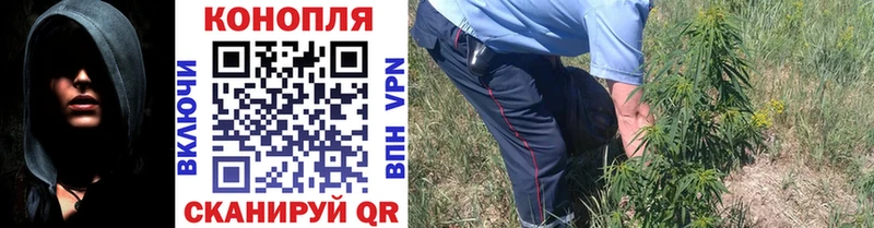гидра ссылки  Валдай  Бошки марихуана гибрид 